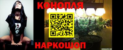 тгк Берёзовский