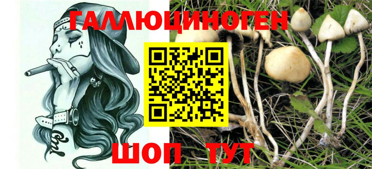 Псилоцибиновые грибы Magic Shrooms Гудермес